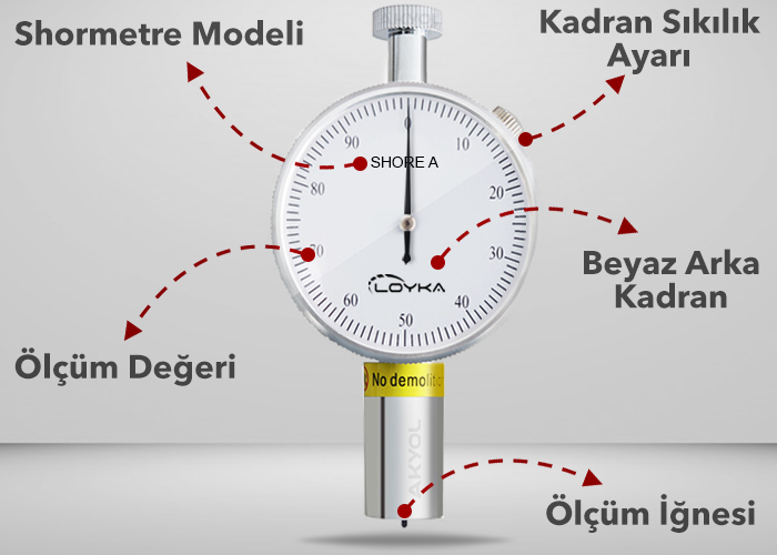 Loyka shore a