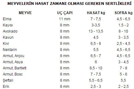 gy3_orta gy3_orta