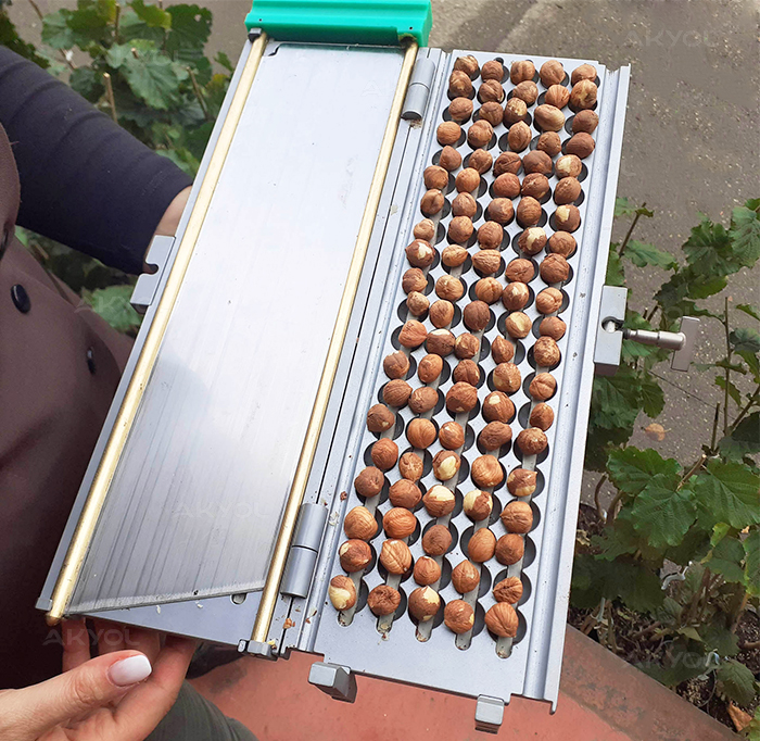 ithal fındık giyotini